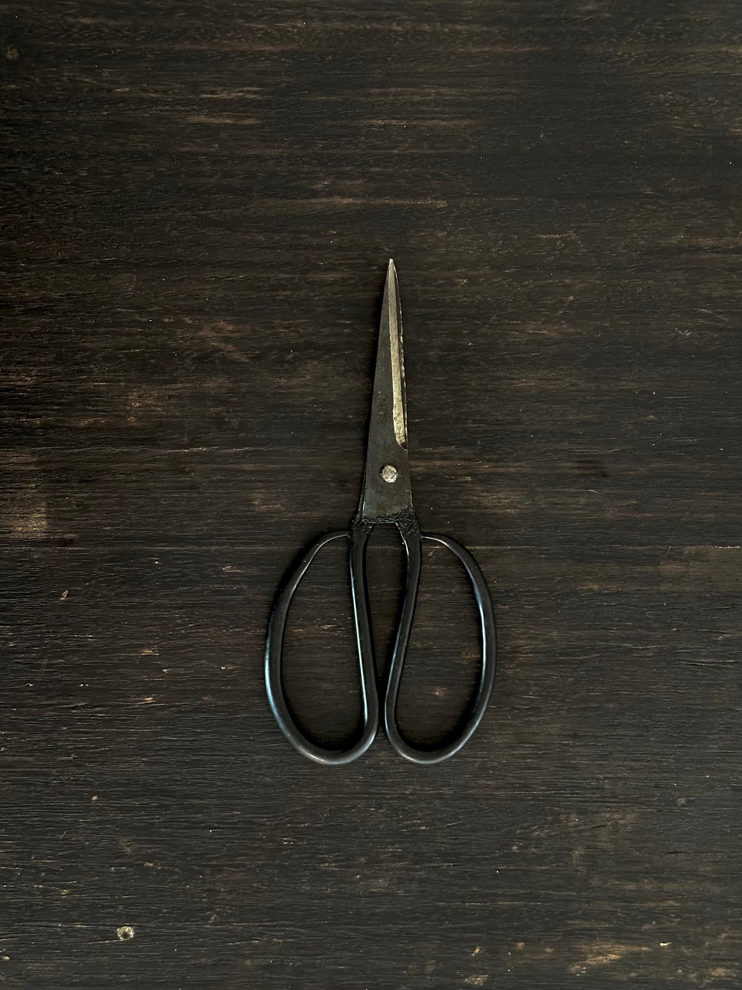 Vietnamese Scissors, Black