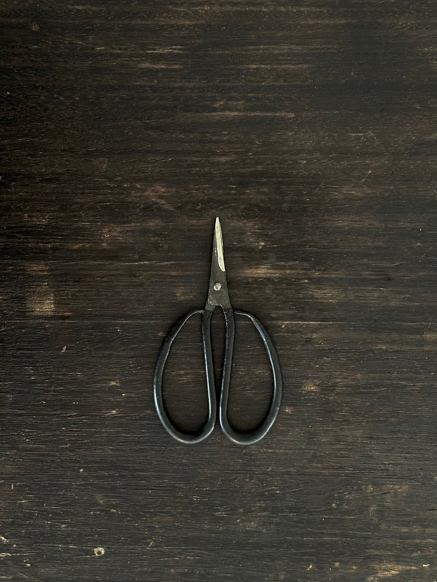 Vietnamese Scissors, Black