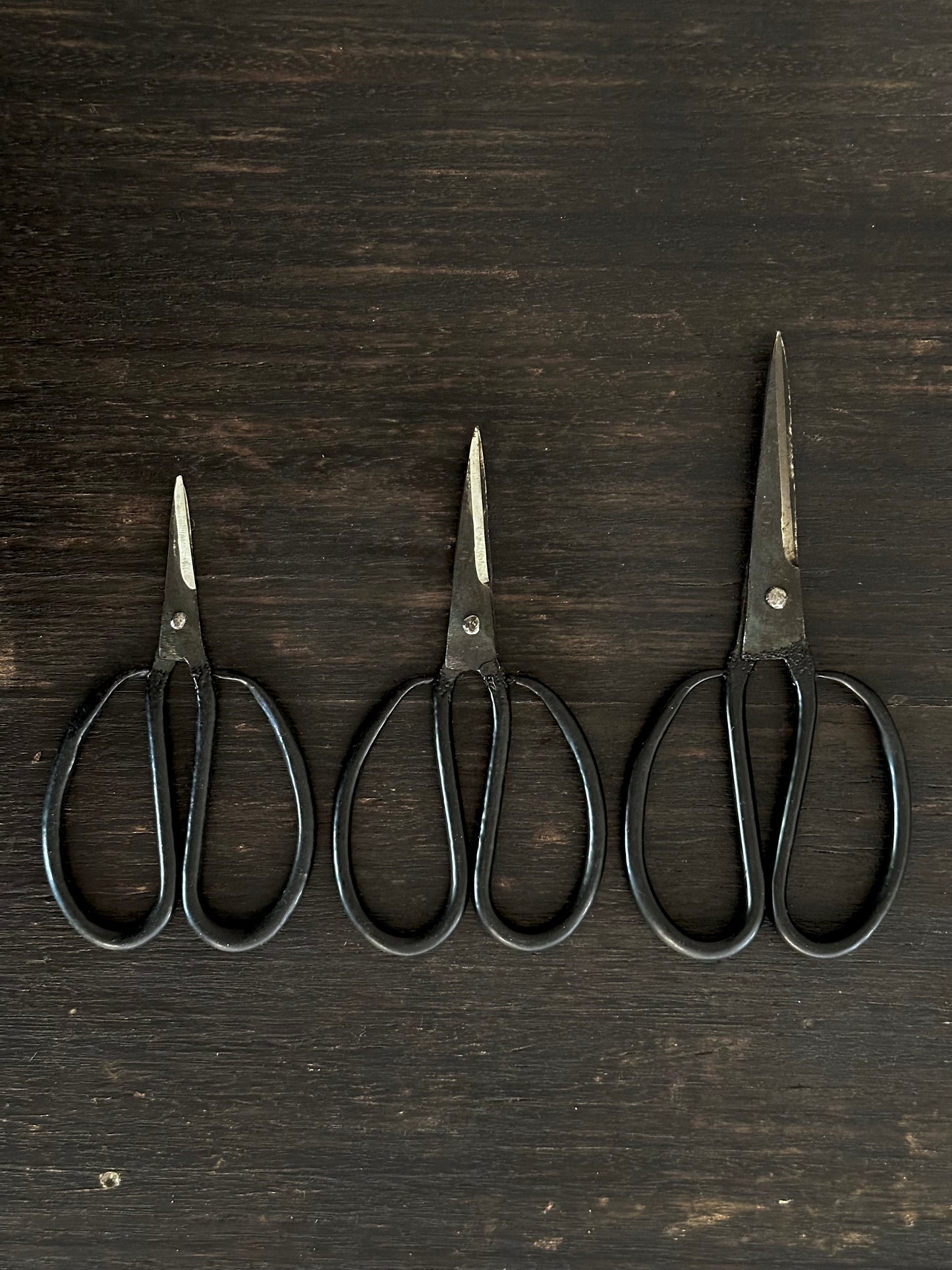 Vietnamese Scissors, Black