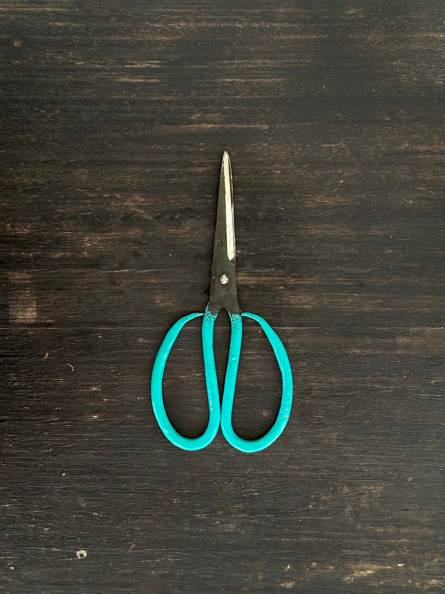 Vietnamese Scissors, Green