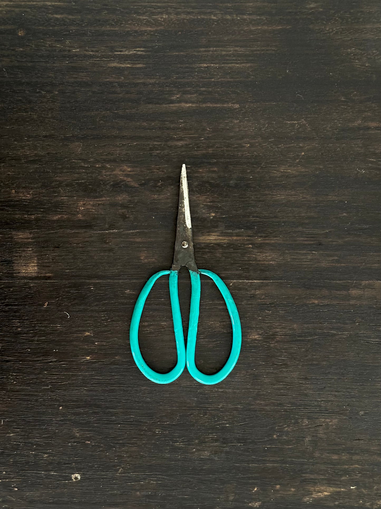 Vietnamese Scissors, Green