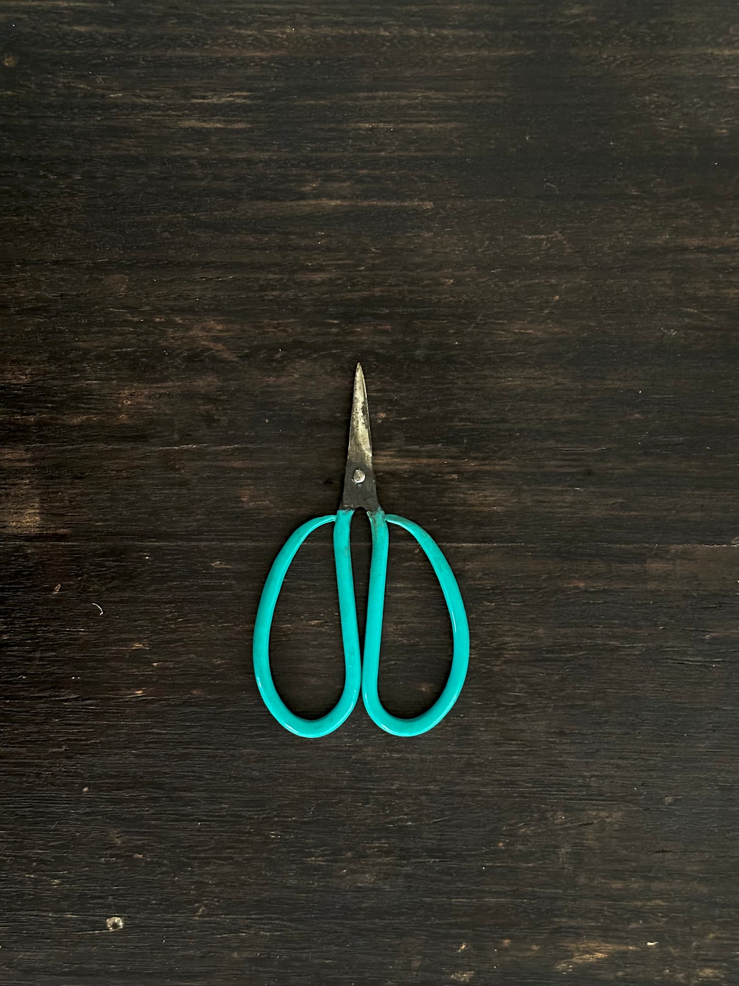 Vietnamese Scissors, Green