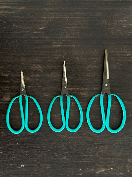 Vietnamese Scissors, Green